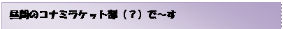 eLXg {bNX: Ԃ̃Ri~PbgiHjŁ`